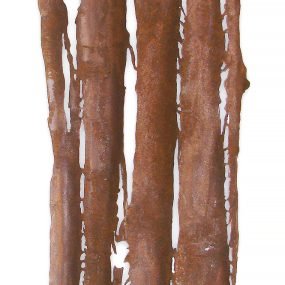 Casca seca - 170 x 50 x 0,7 cm - Aço carbono oxidado - 2007